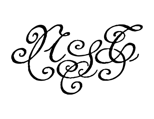 NST Studio logo